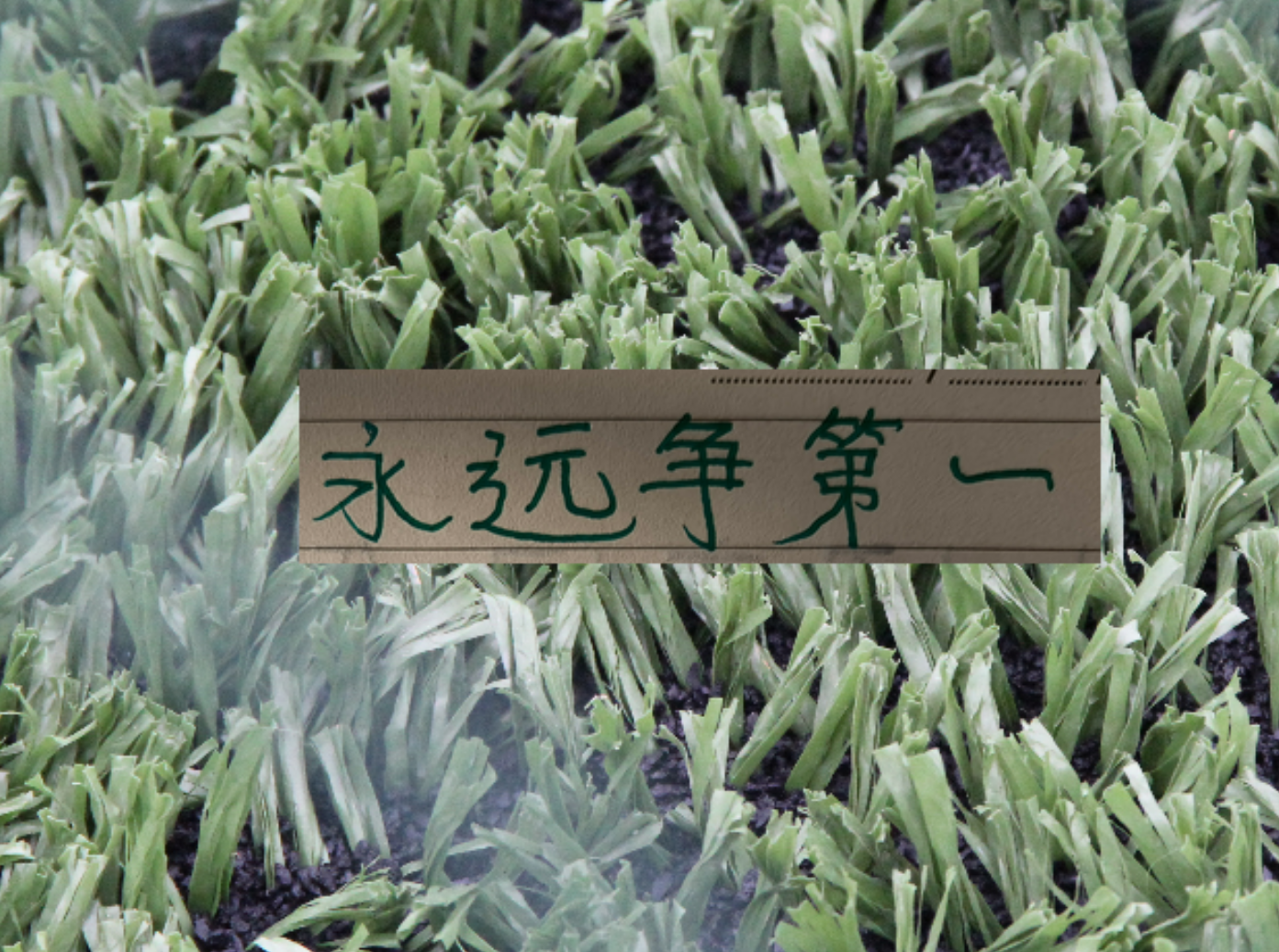 乐鱼leyu官方网站-连续收割3个中超冠军！再加第一跑男